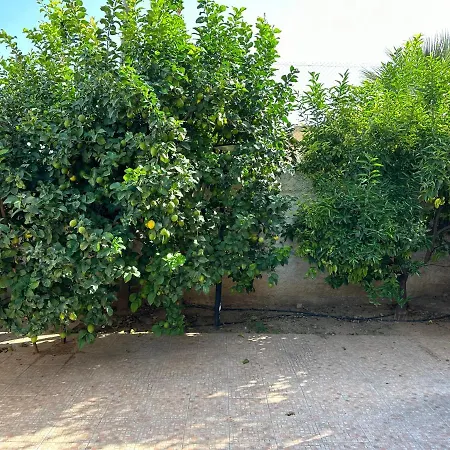 Casa Peseta, * Vallada